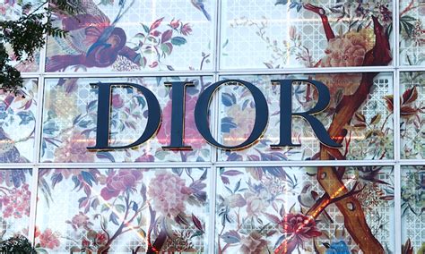 dior exclusive loyalty program|does dior give away money.